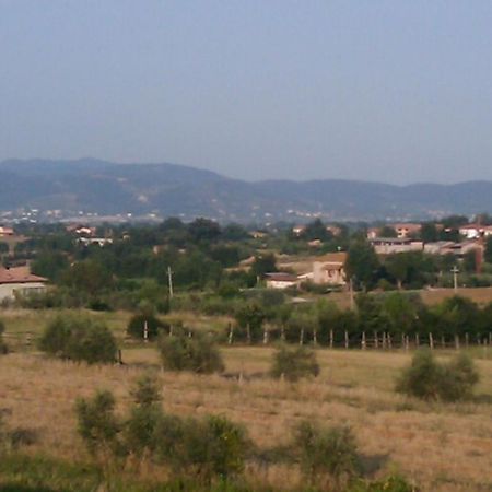 Appartamento Montecchio di Cortona Esterno foto